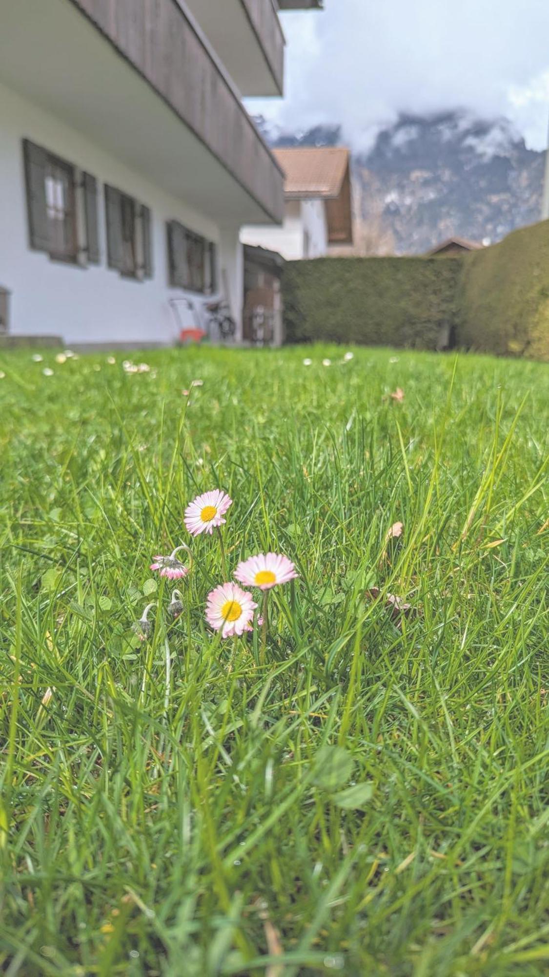 Calm Gap Leilighet Garmisch-Partenkirchen Eksteriør bilde